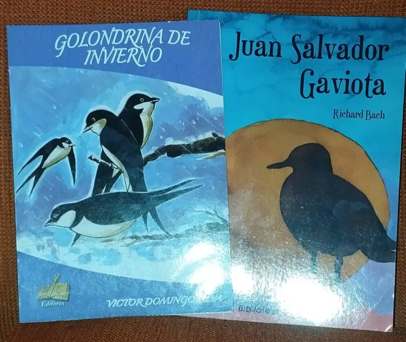 Lote de libros infantiles y juveniles variados - 3