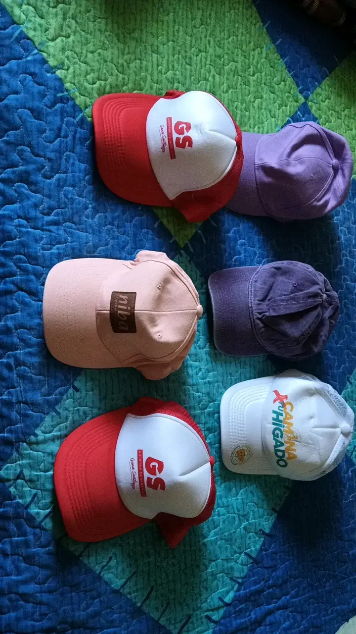Lote de gorras variadas con logos - 1