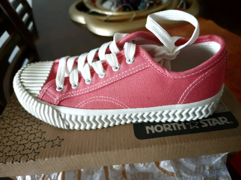 Zapatillas rosadas North Star talla 37