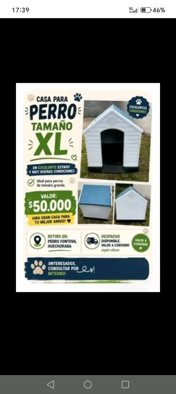 Casa para perro XL  Pet's Fun en excelente estad - 4
