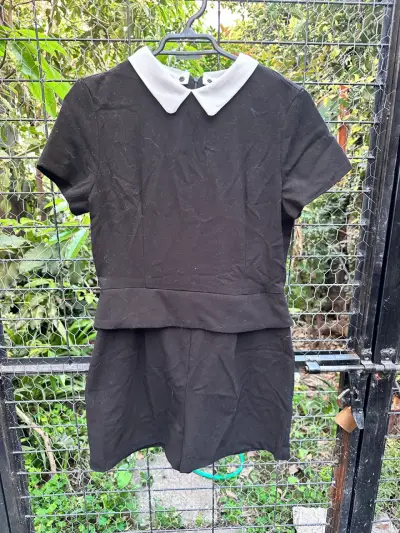 Enterito negro con cuello blanco MNG - miniatura 1