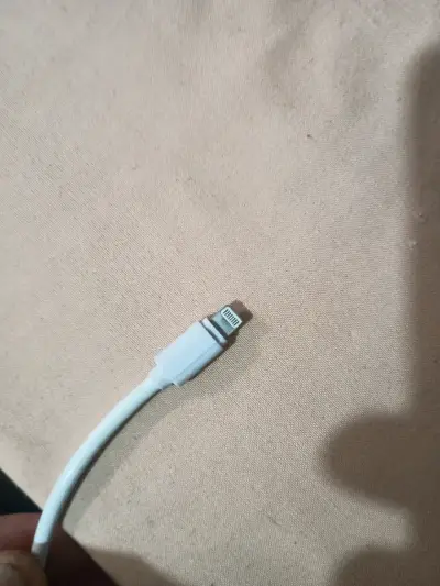 Cable USB blanco para iPhone - miniatura 2