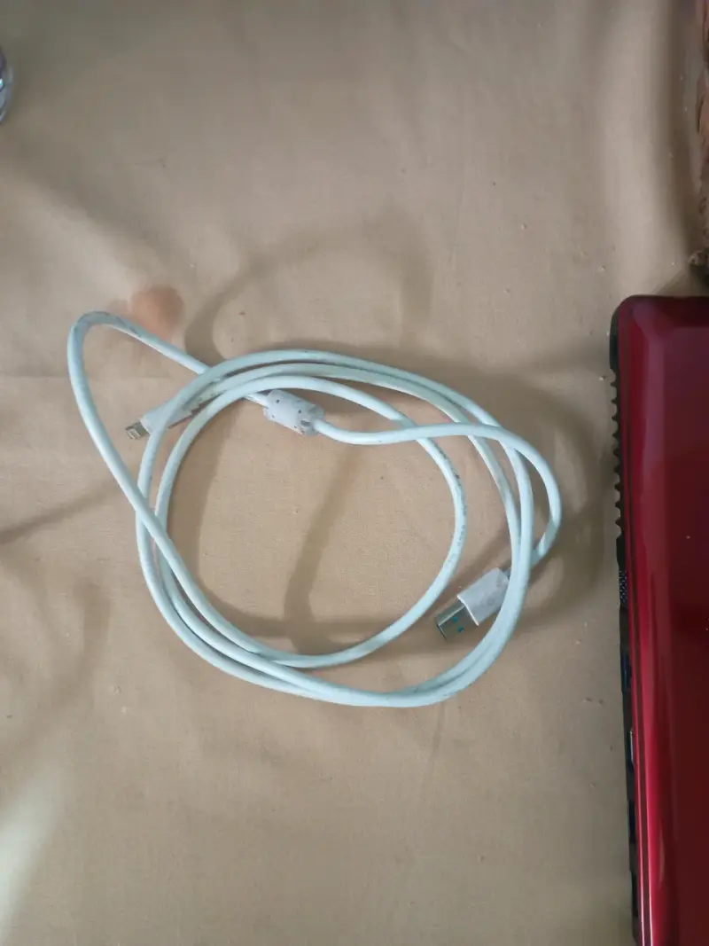Cable USB blanco para iPhone - 3