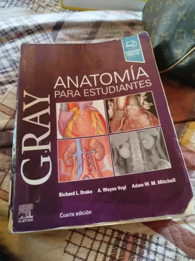 Libro Gray Anatomía para Estudiantes Cuarta Edición - miniatura 1