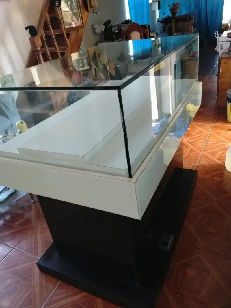Vitrina exhibidora de vidrio con base negra - 5