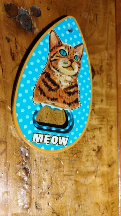 Set de posavasos decorativos con diseño de animales - miniatura 4