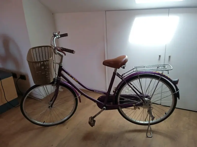 Bicicleta Morada marca Lahsen - 1