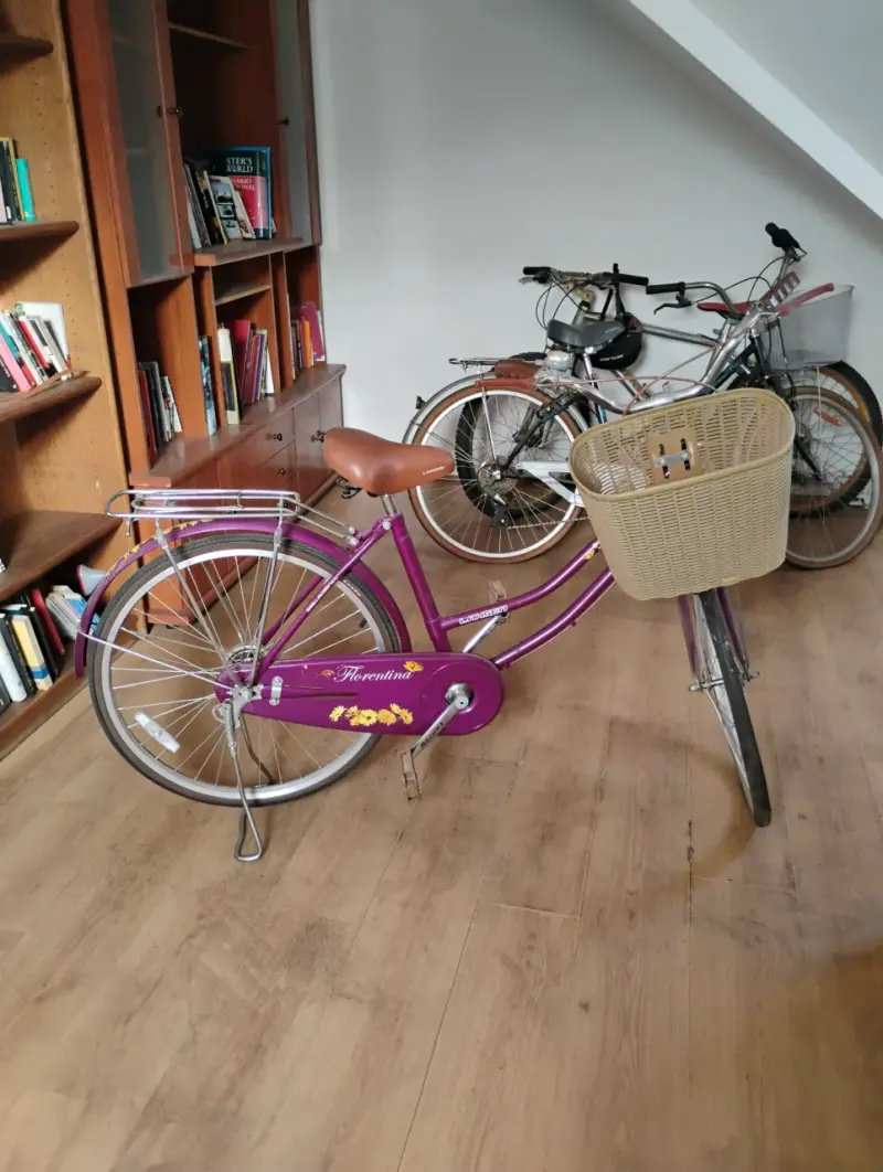 Bicicleta Morada marca Lahsen - 3