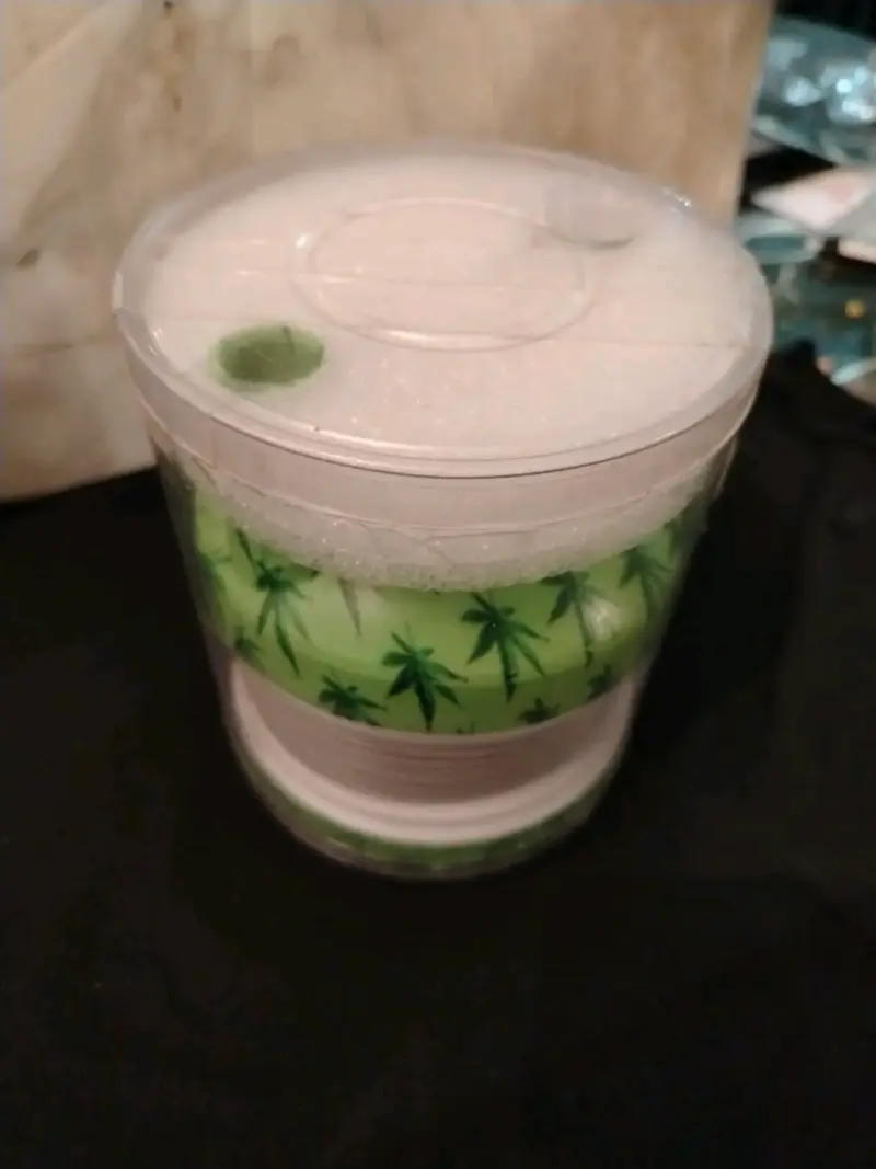 Acordeon verde con diseño de hojas - 3