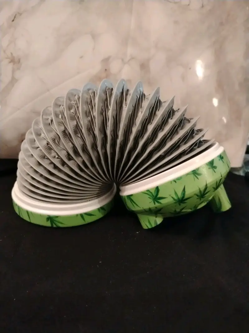 Acordeon verde con diseño de hojas - 4