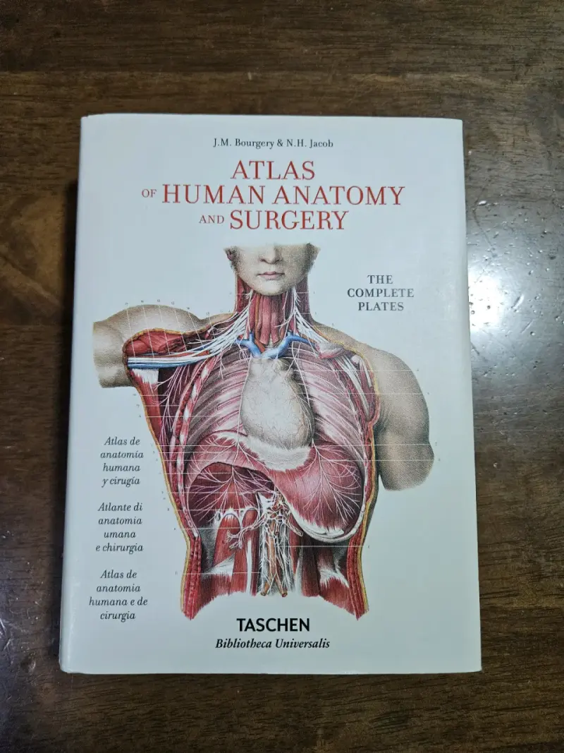 Atlas de Anatomía Humana y Cirugía (Bourgery)