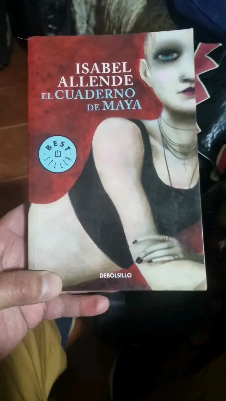 Libro el cuaderno de maya - 1