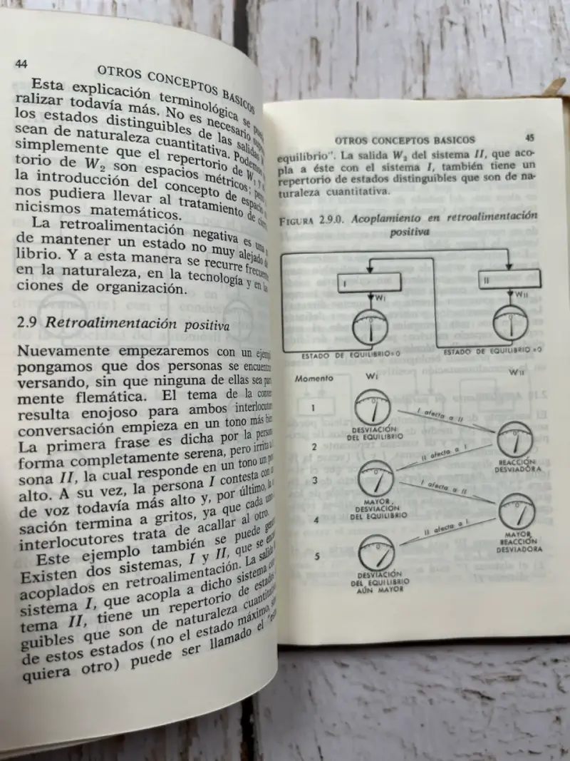 Cibernética Sin Matemáticas de Henryk Greniewski - 5