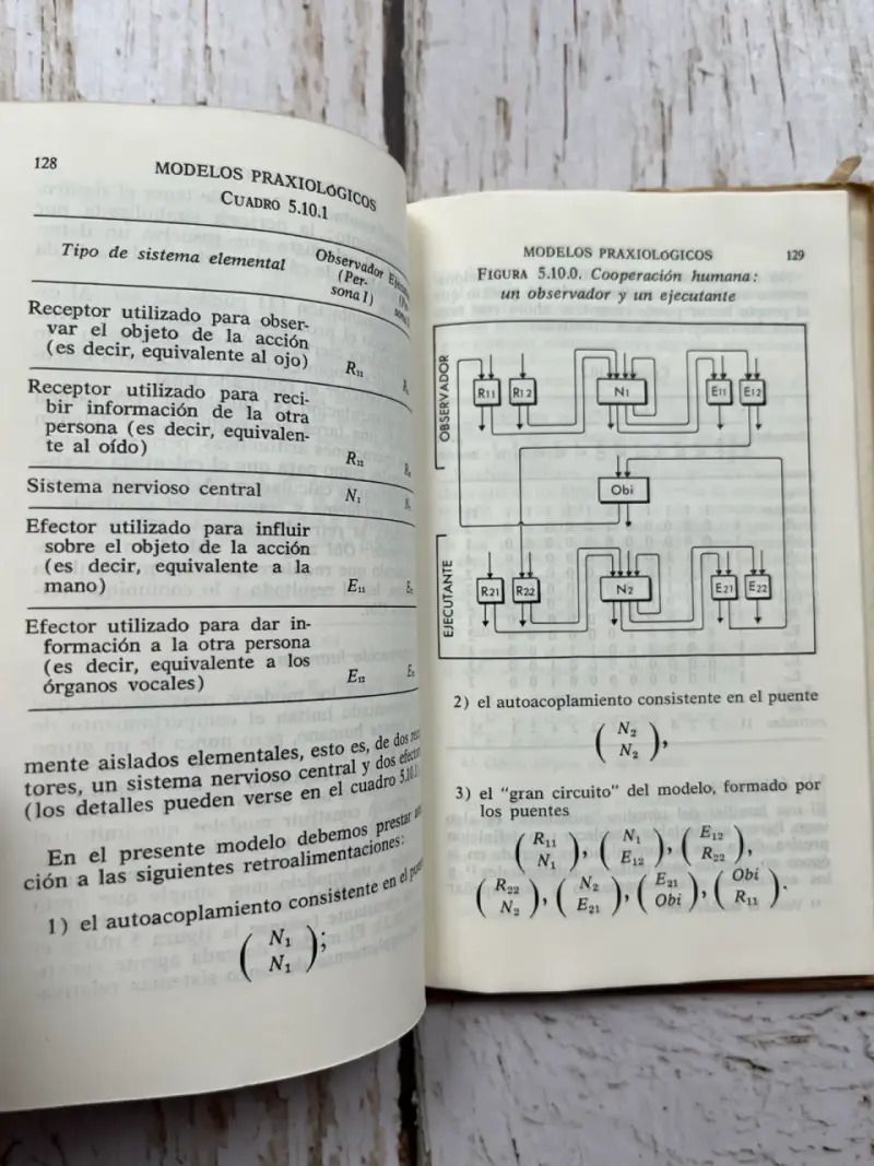 Cibernética Sin Matemáticas de Henryk Greniewski - 6