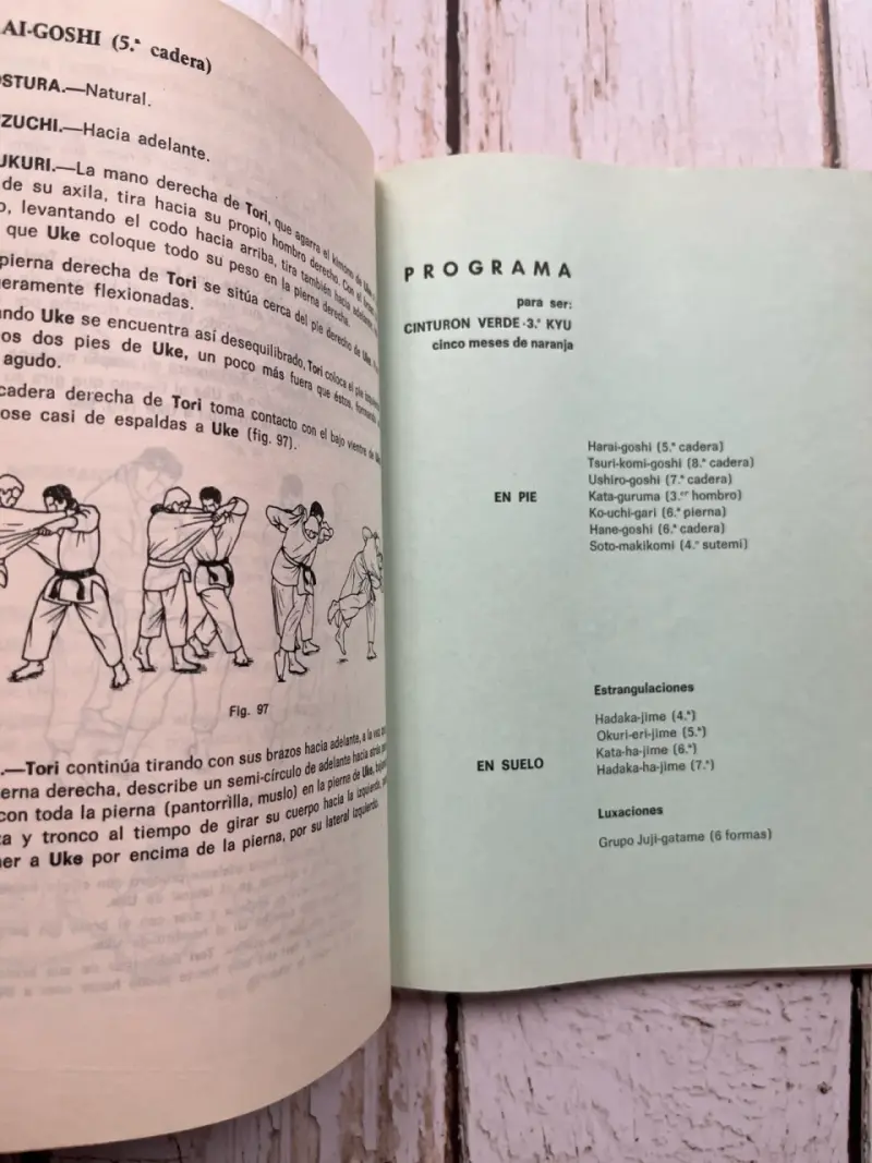Programa Oficial Cinturón Negro de Judo - 6