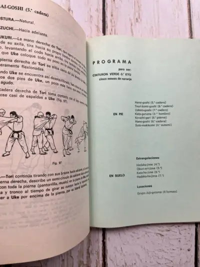 Programa Oficial Cinturón Negro de Judo - miniatura 6
