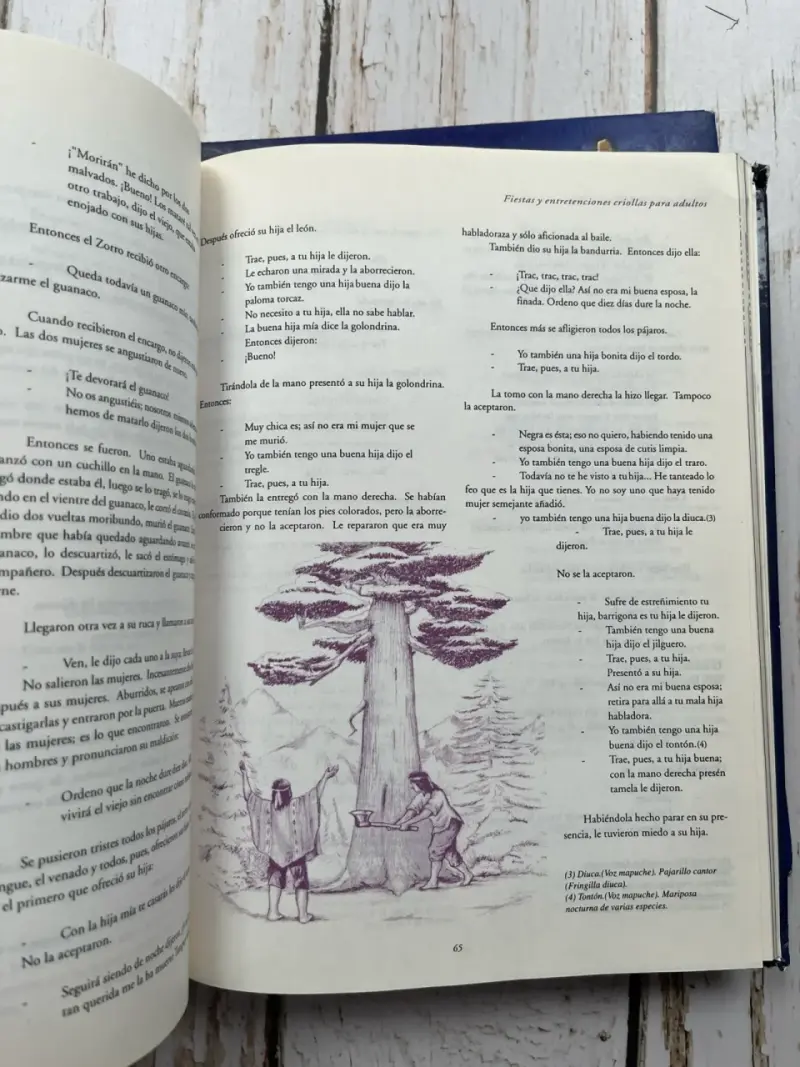 Libros Geografía Folklórica de Chile Tomos I y II - 4