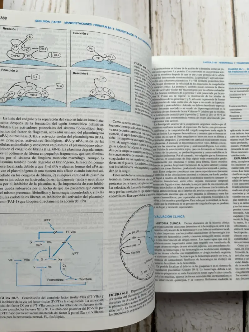Principios de Medicina Interna Vol.1 - 6