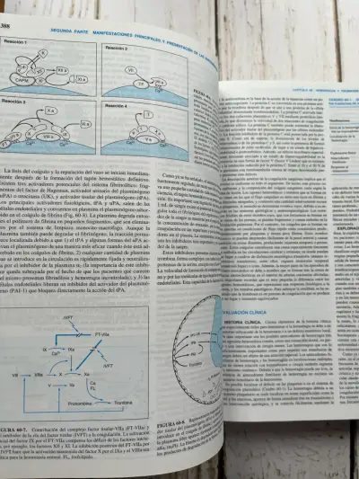 Principios de Medicina Interna Vol.1 - miniatura 6