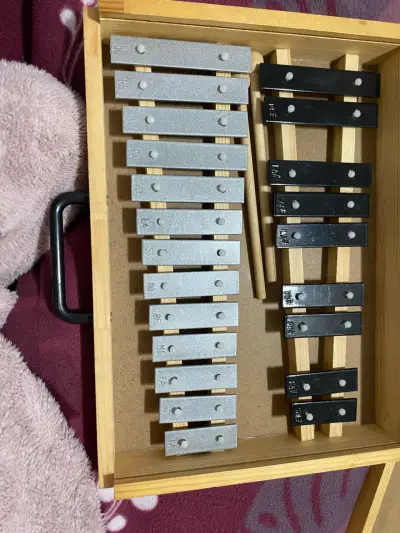 Xilófono de madera con placas metálicas para niños - miniatura 1