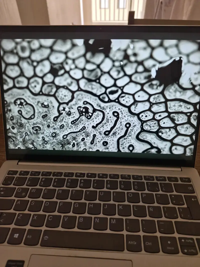 Notebook Lenovo Core i5 10a Gen / 16 GB RAM / 512 - 3