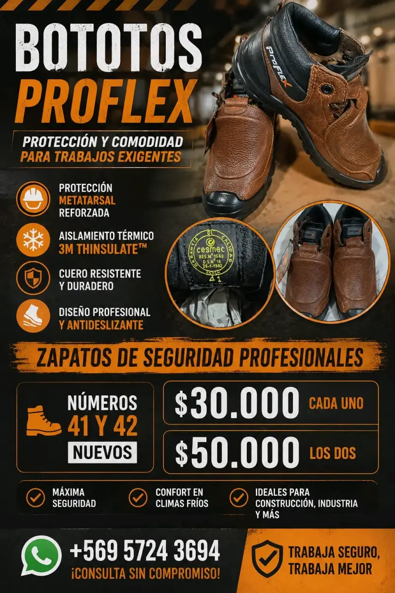 Zapatos de seguridad ProFlex marrones con puntera reforzada - 5