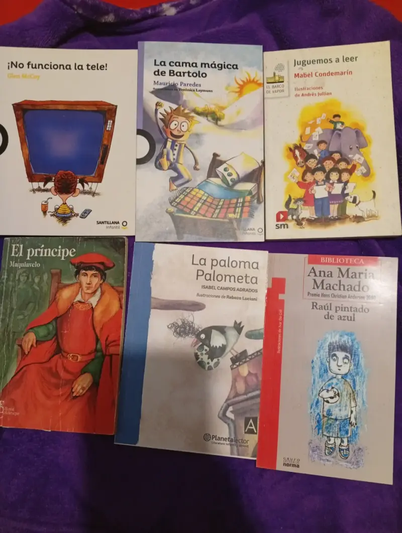 Lote de libros infantiles y clásicos variados