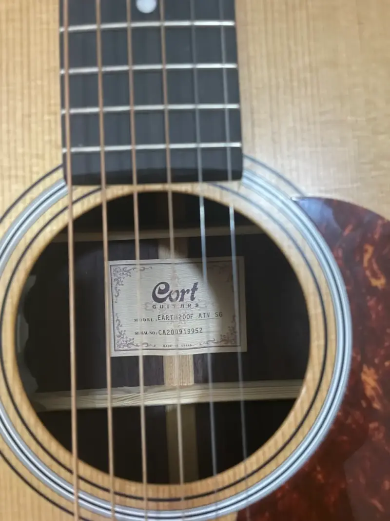 Guitarra acústica Cort Earth200F ATV SG con funda - 3