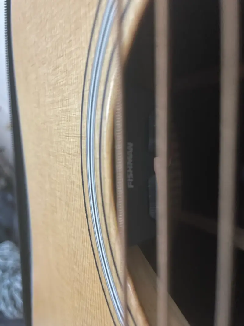 Guitarra acústica Cort Earth200F ATV SG con funda - 5