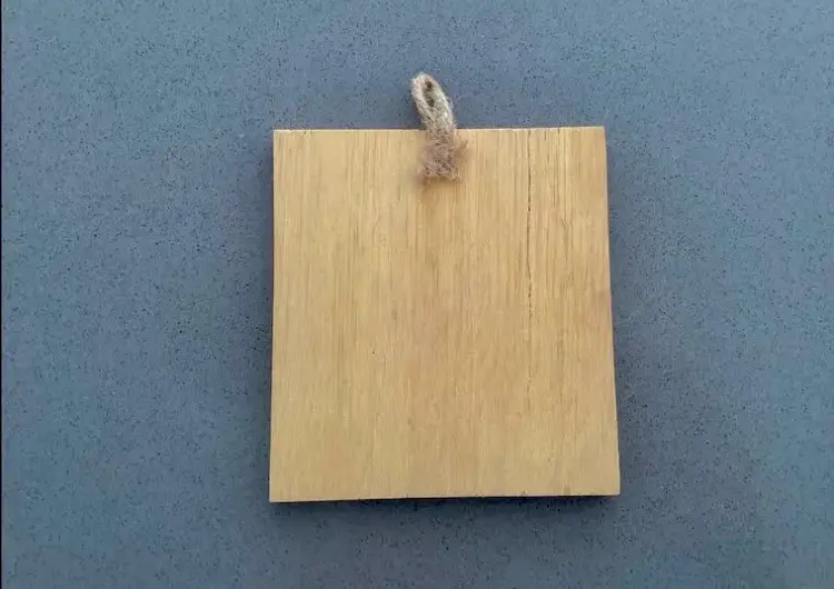 Cuadro Decorativo de Madera con Diseño de Dragón - 2