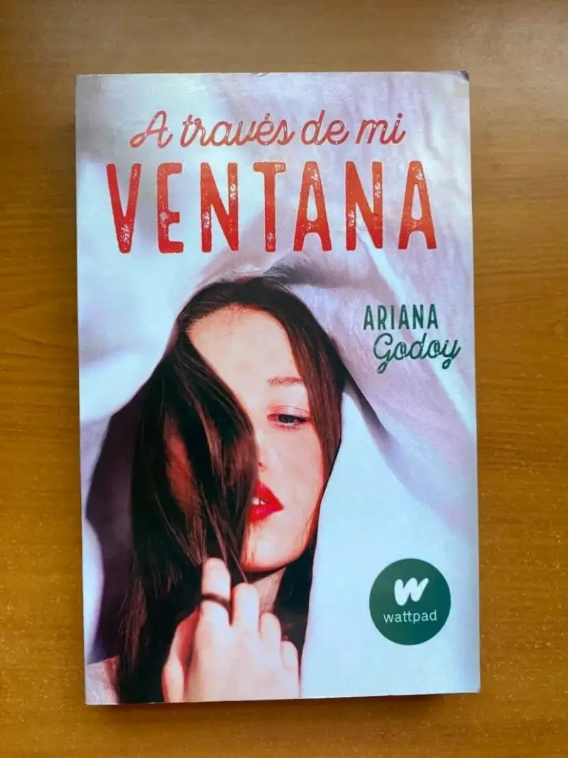 Libro 'A través de mi ventana' - 1