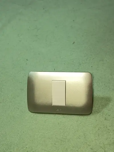 Interruptor Escala 9/24 Lexo Blanco Plata - miniatura 1