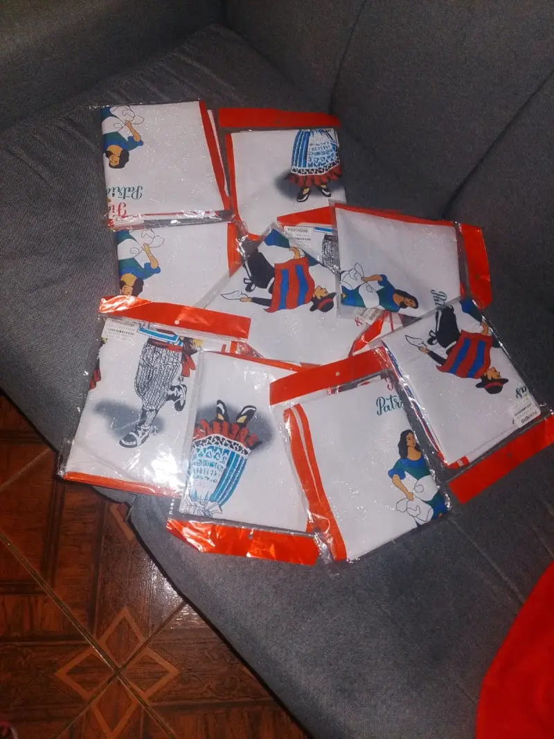 Delantal chileno para Fiestas Patrias y jarra - 2