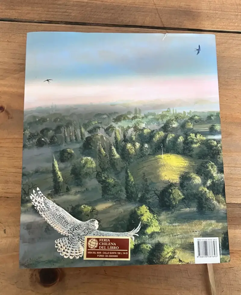 Libro Harry Potter y la Cámara Secreta Ilustrado - 2