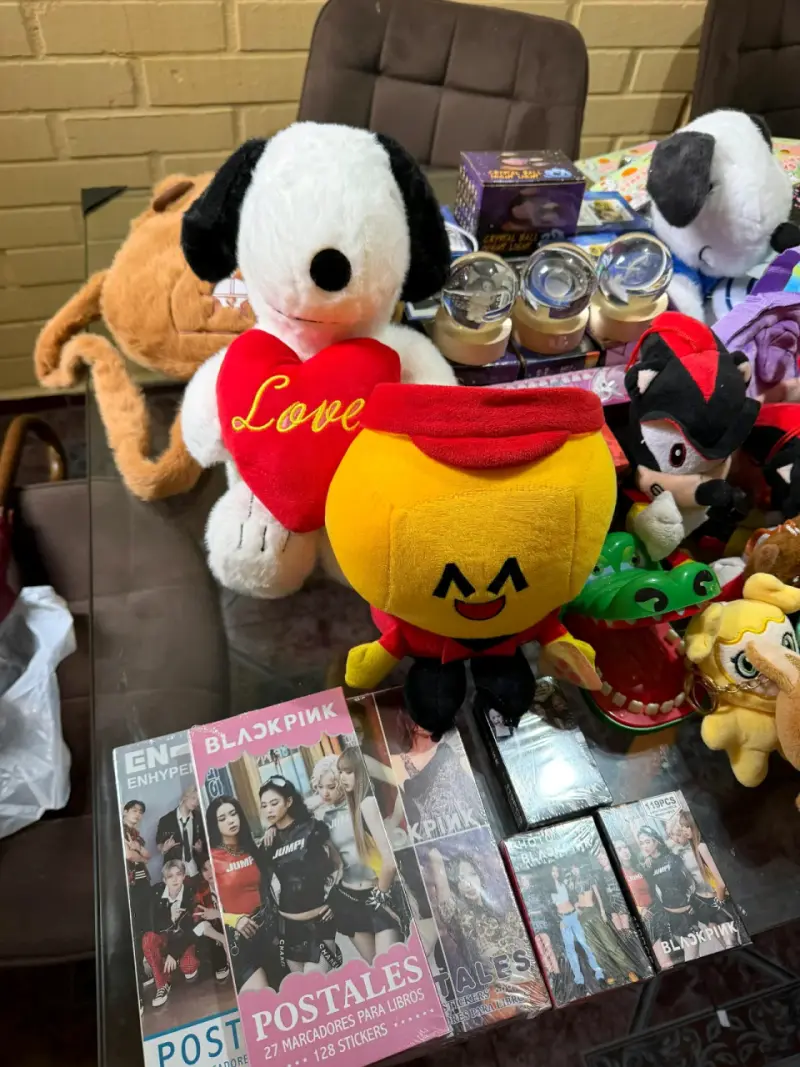 Lote de Peluches y Posters Blackpink - 5