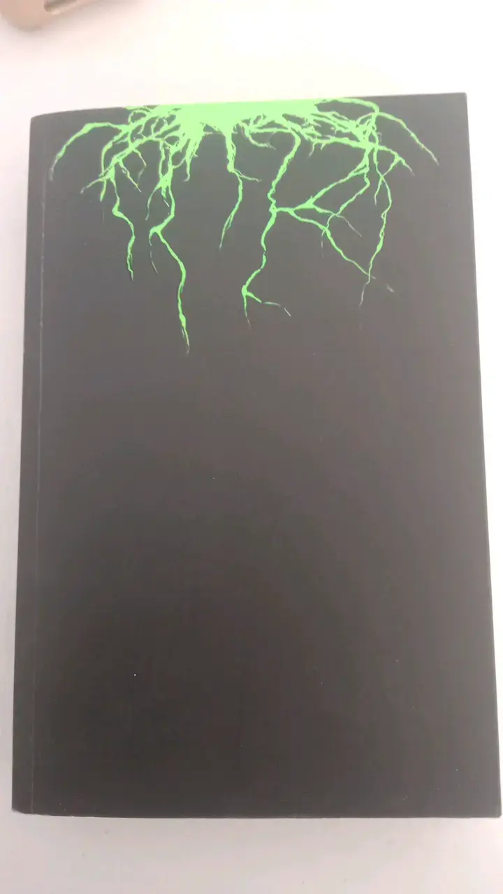 Libro El Misterio de Salem's Lot de Stephen King - 3