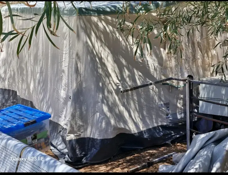 Remolque Roadmaster Runner S con Carpa - 3