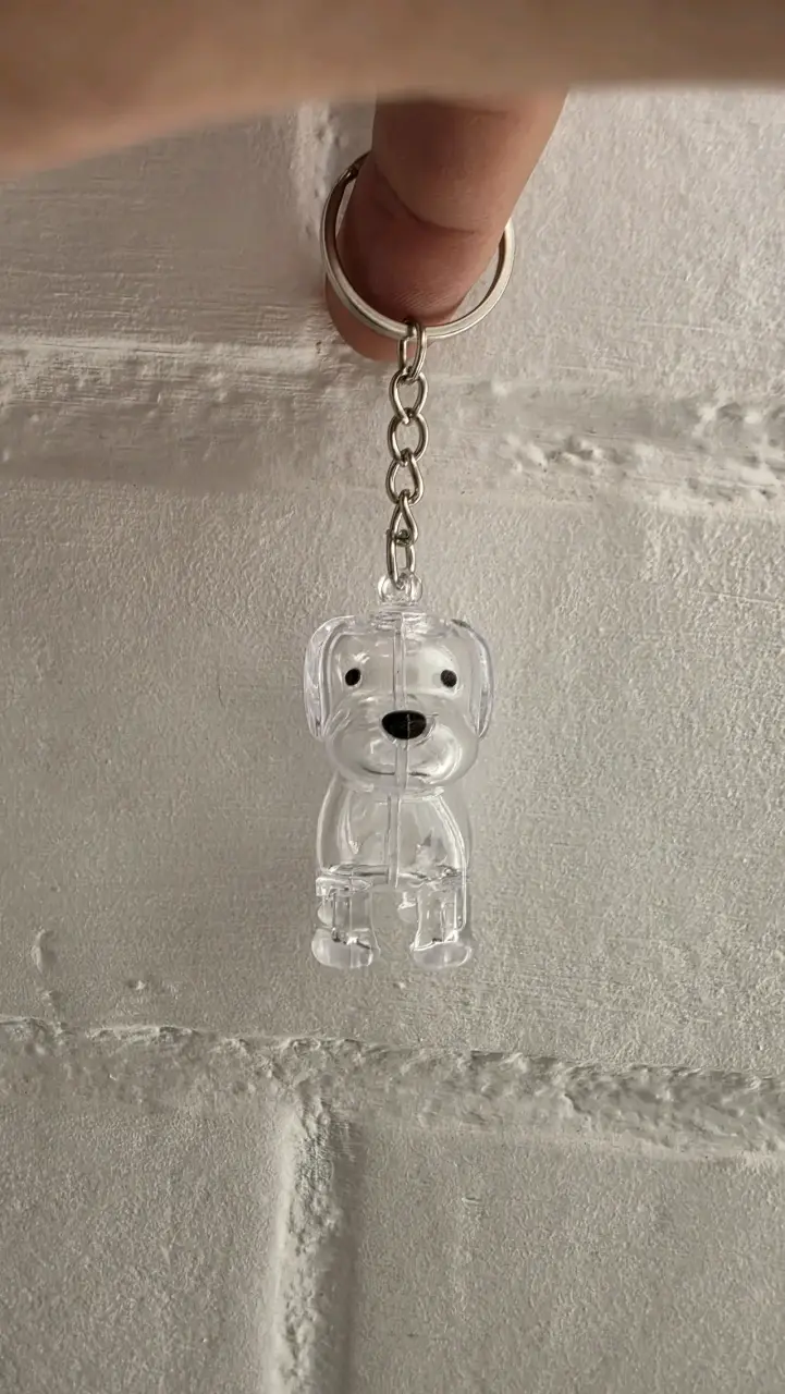 Set Llaveros contenedores de pelito de perritos(5) - 6