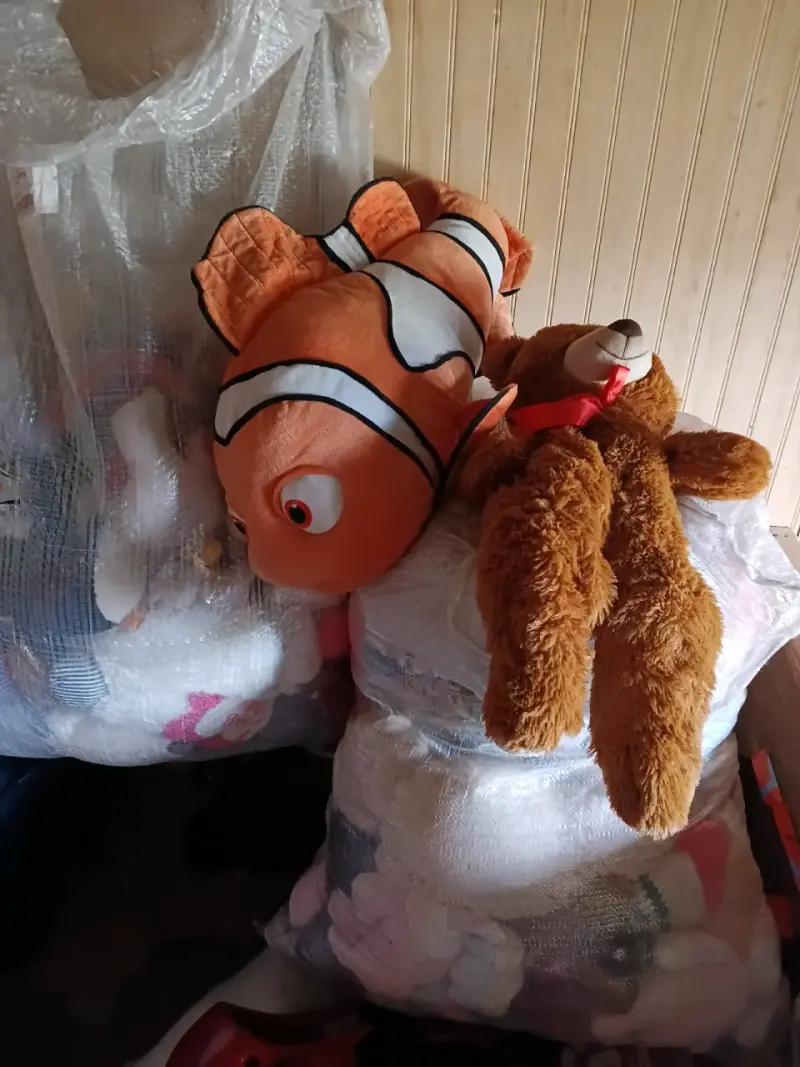 Peluches grandes de pez payaso y oso - 1