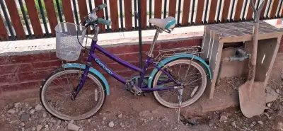 Bicicleta Oxford infantil - miniatura 1