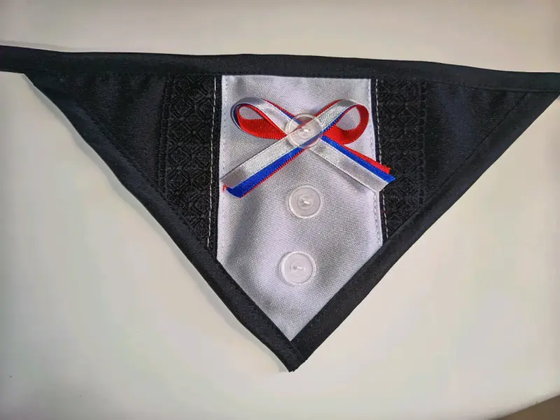 Bandana para perro !! Fiestas patrias!! - 2