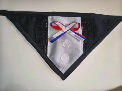 Bandana para perro !! Fiestas patrias!! - miniatura 2