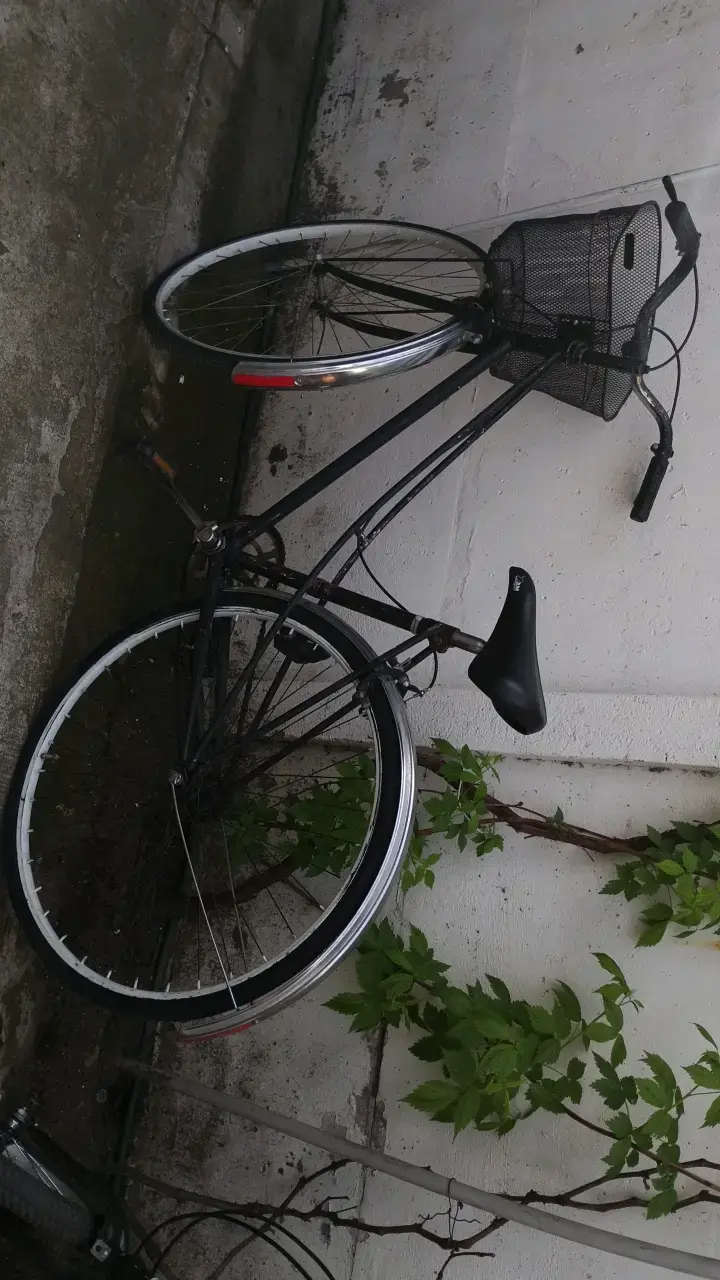 Bicicleta urbana con canasto negro aro 26 - 1