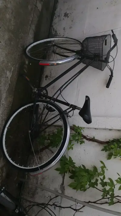 Bicicleta urbana con canasto negro aro 26 - miniatura 1