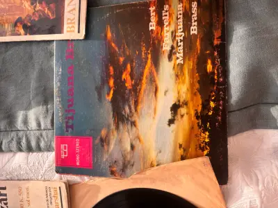 Colección de Discos de Vinilo Clásicos y Populares - miniatura 3