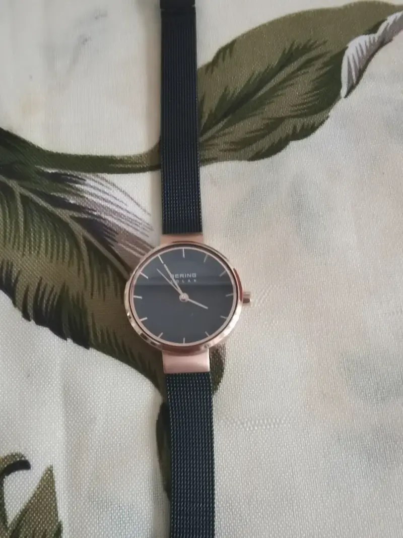 Bering Solar 14631-166