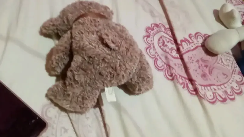 Osito de peluche marrón con lazo - 2