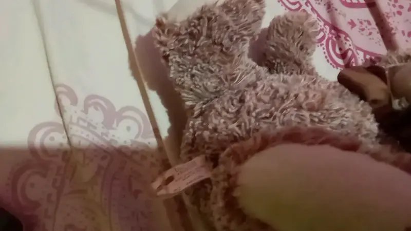 Osito de peluche marrón con lazo - 3