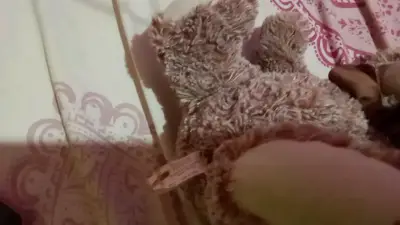 Osito de peluche marrón con lazo - miniatura 3
