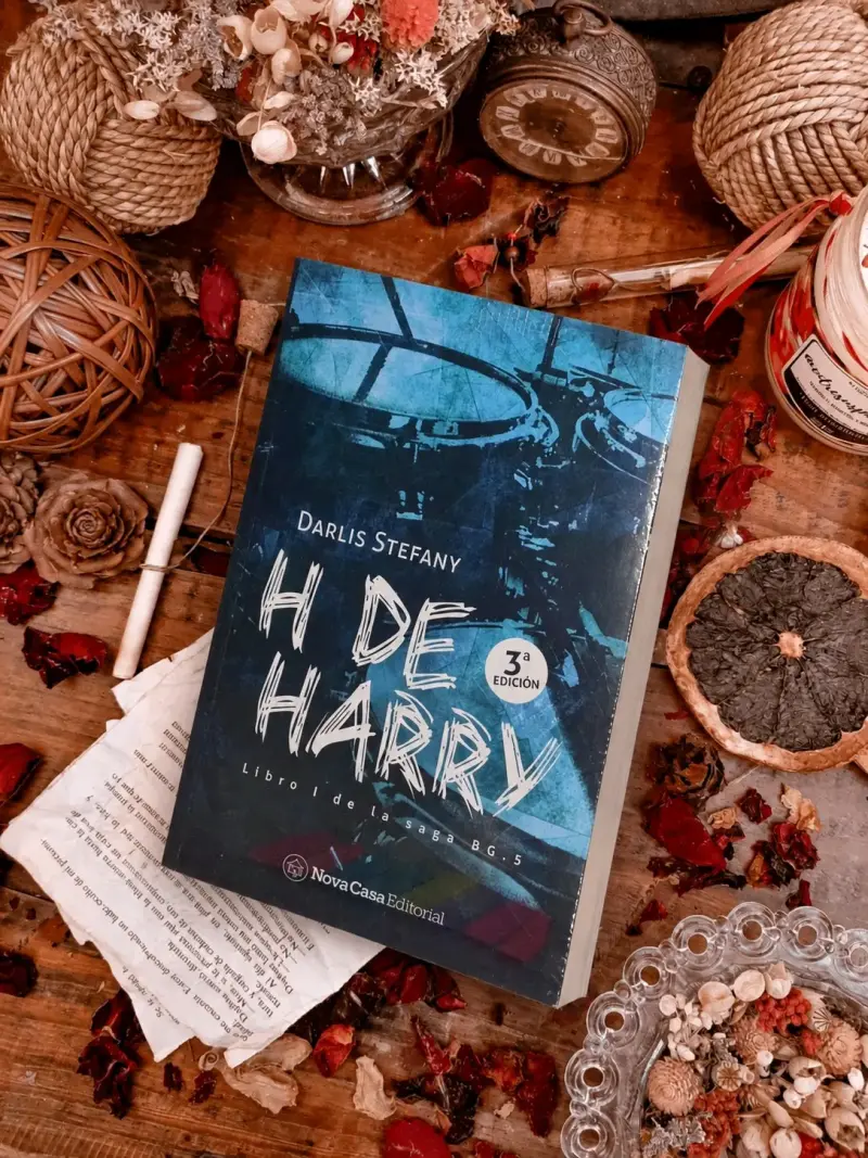 Libro 'H de Harry' de Darlis Stefany